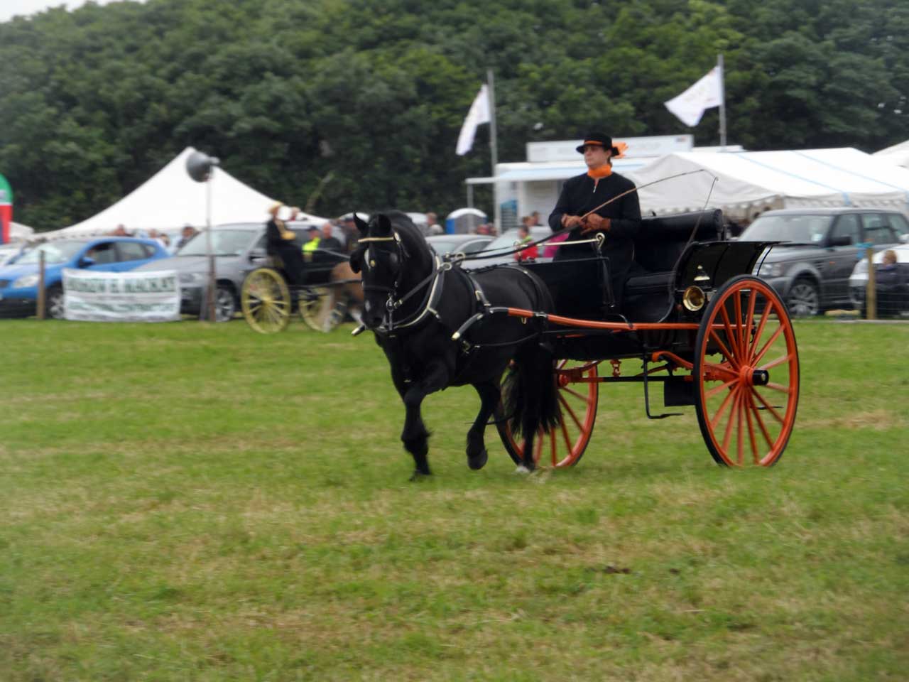 Photo: Caithness County Show 2014 - Saturday