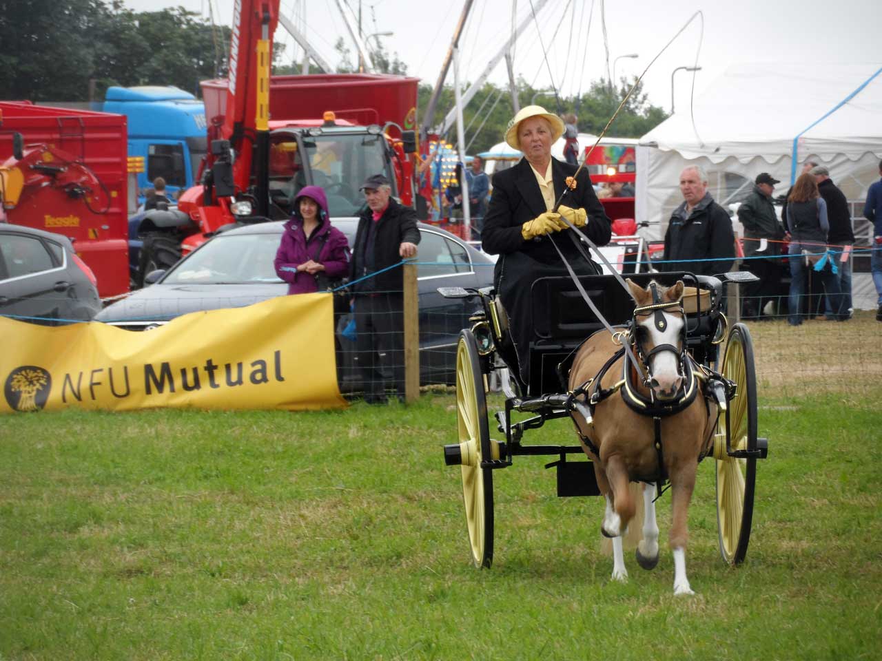 Photo: Caithness County Show 2014 - Saturday