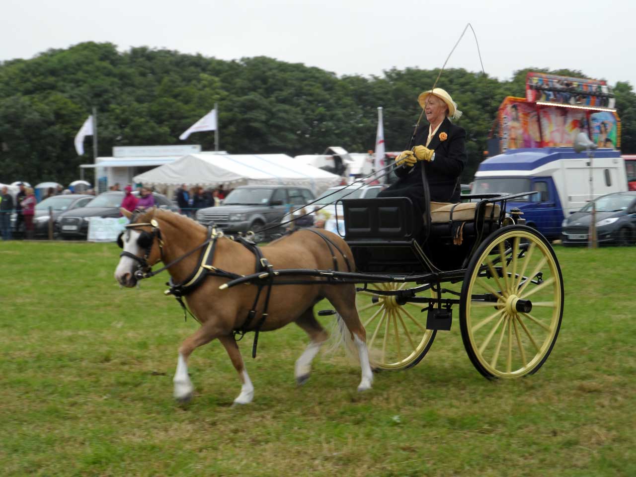 Photo: Caithness County Show 2014 - Saturday