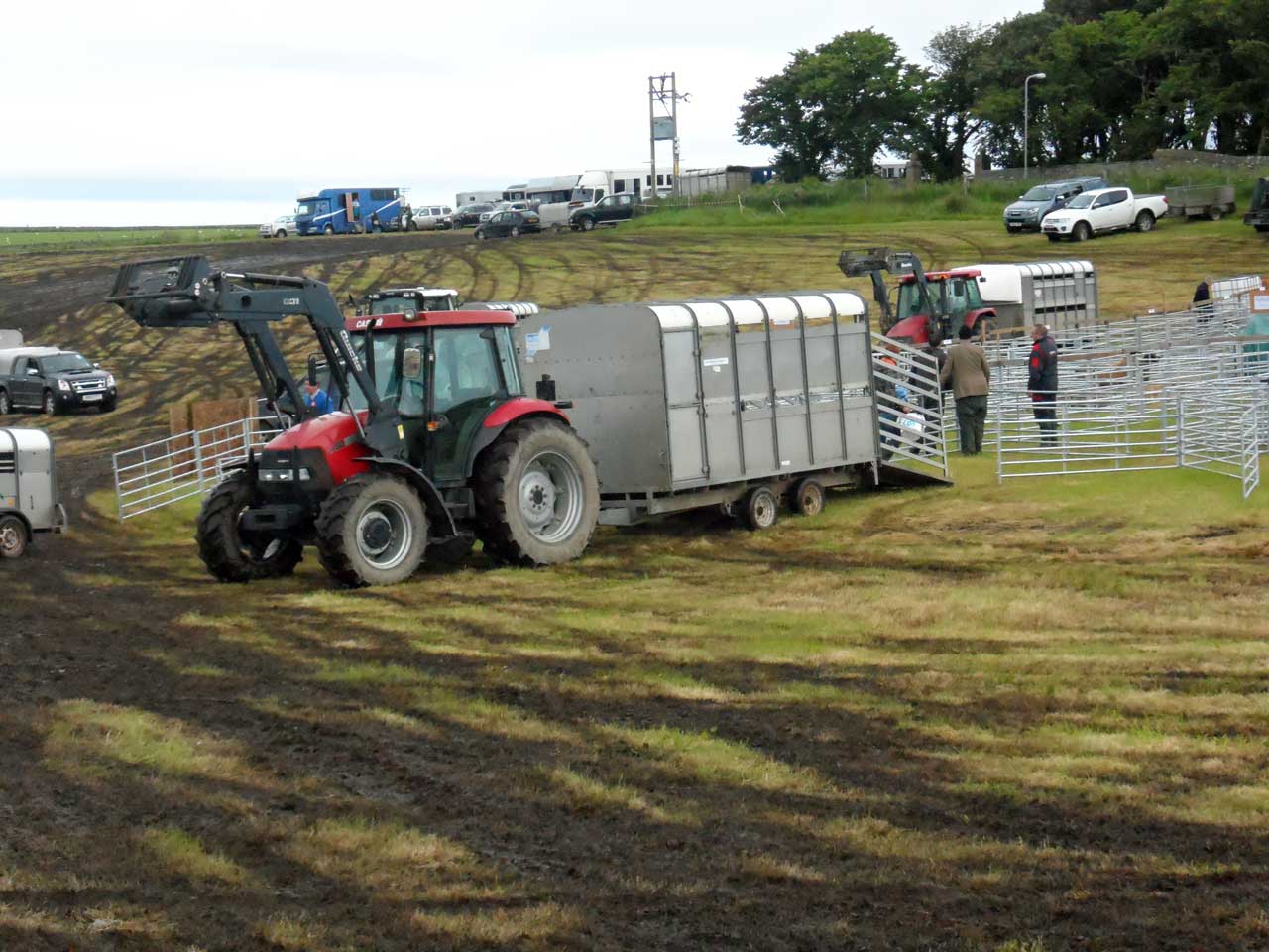 Photo: Caithness County Show 2015