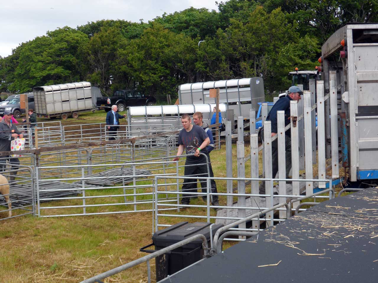 Photo: Caithness County Show 2015