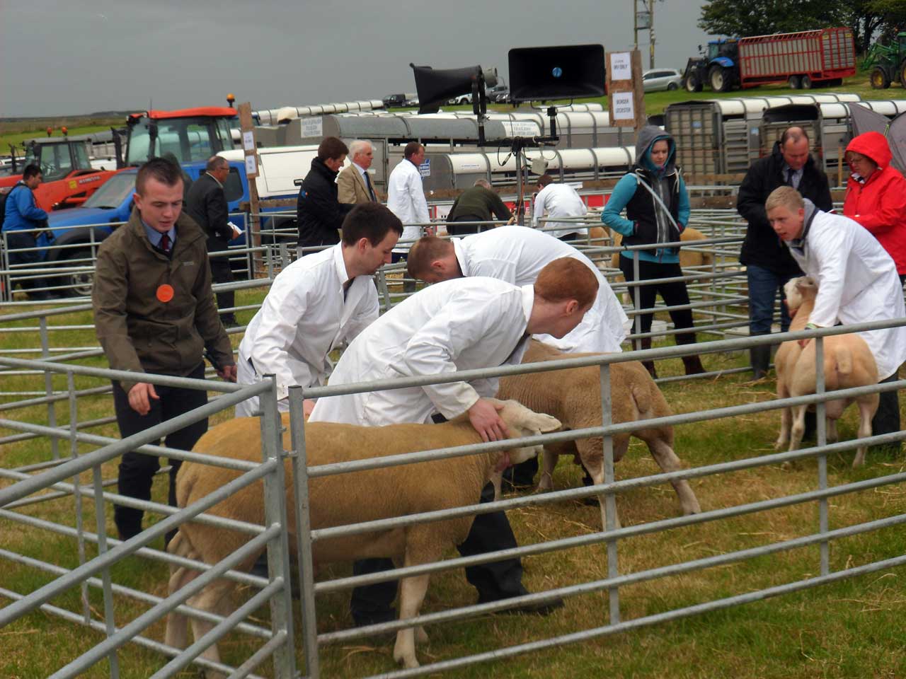 Photo: Caithness County Show 2017 - Saturday