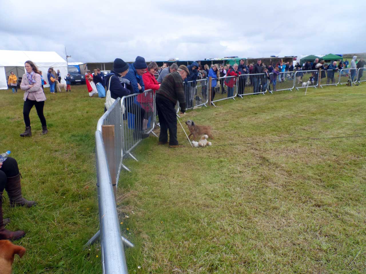 Photo: Canisbay Show 2019