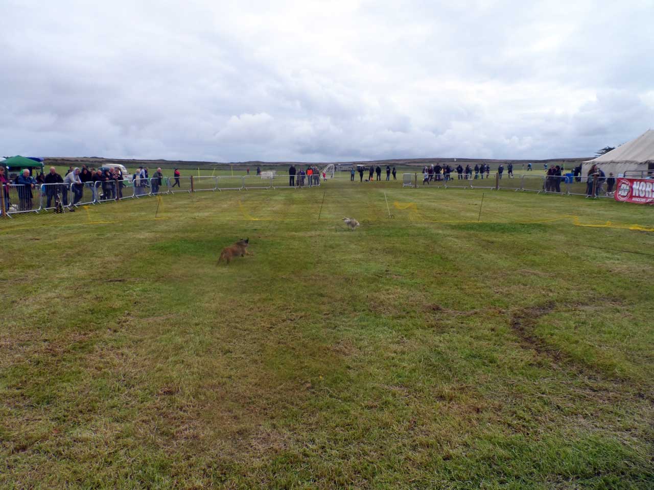 Photo: Canisbay Show 2019