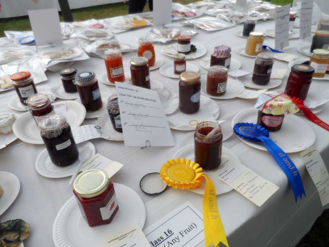 Photo: Caithness County Show 2019