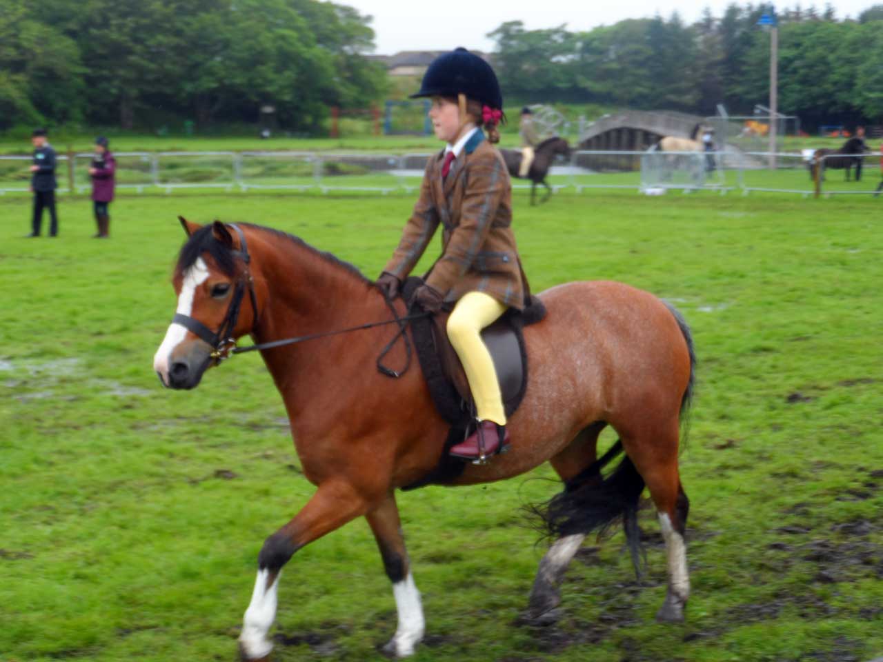 Photo: Caithness County Show 2019