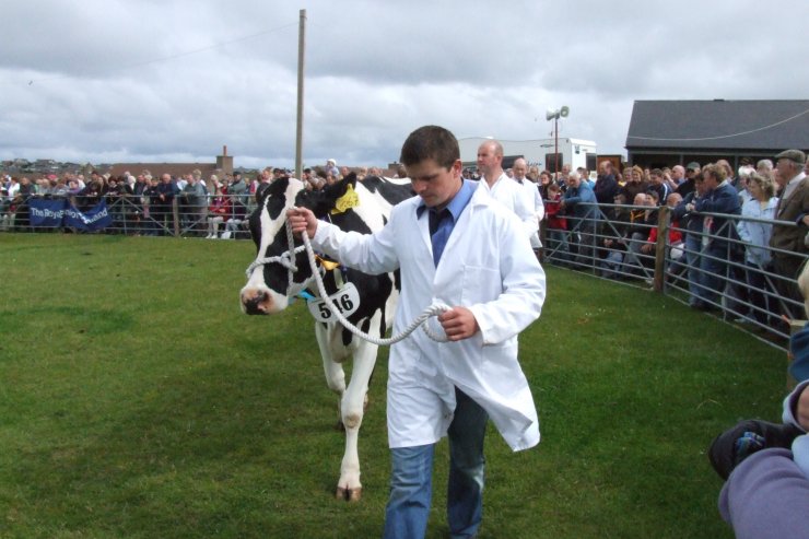 Photo: Orkney Show 2006
