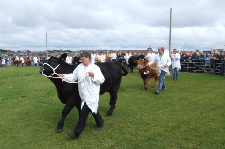 Photo: Orkney Show 2006