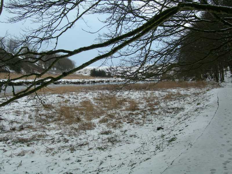 Photo: Winter Scene In Caithness - Thurso River 3 March 2006