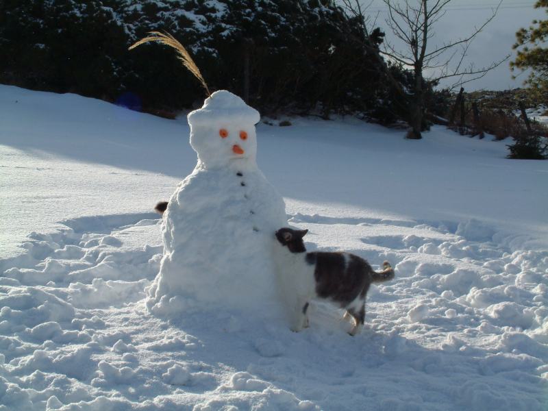 Photo: A Snowman At Strirkoke