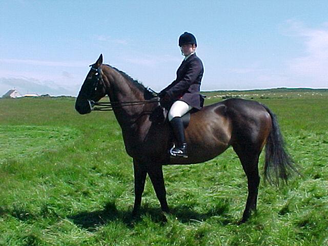 Photo: Canisbay Show 2003