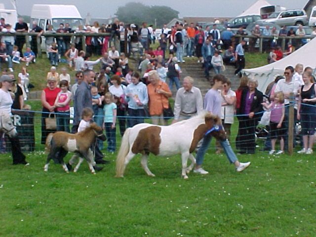 Photo: County Show 2003