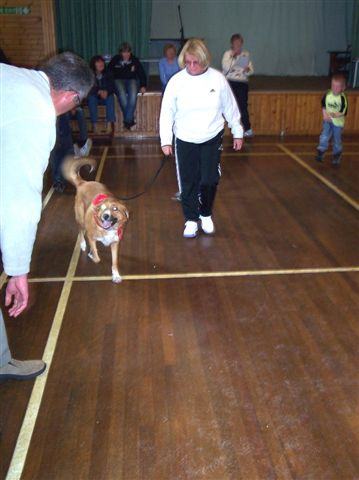 Photo: Lybster Gala 2004 - Pet Show