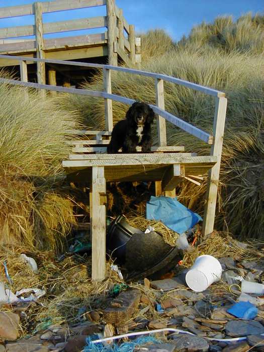 Photo: Dunnet Board Walk Damaged In Gales and High Tides
