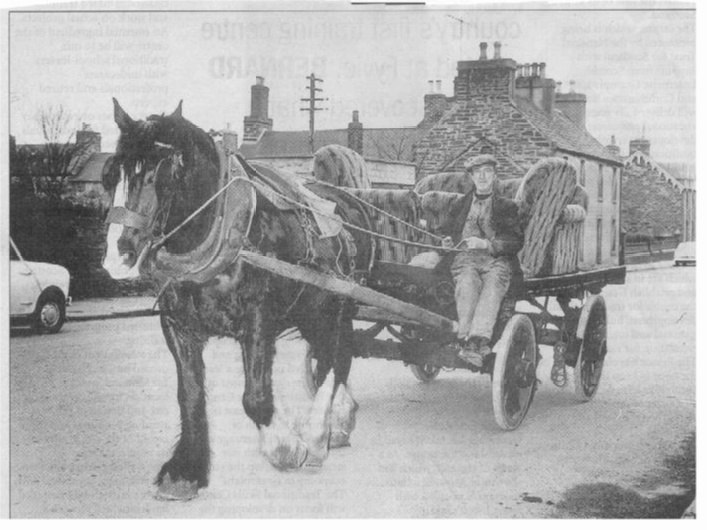 Photo: Aex Matheson with Horse and Cart