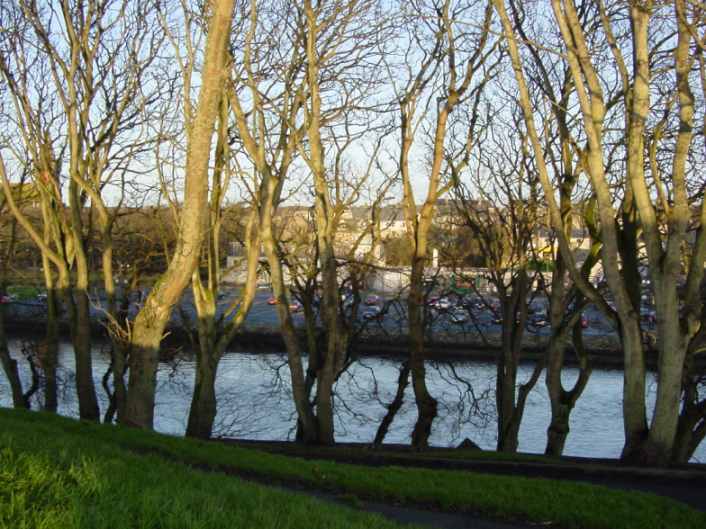 River Trees, Wick