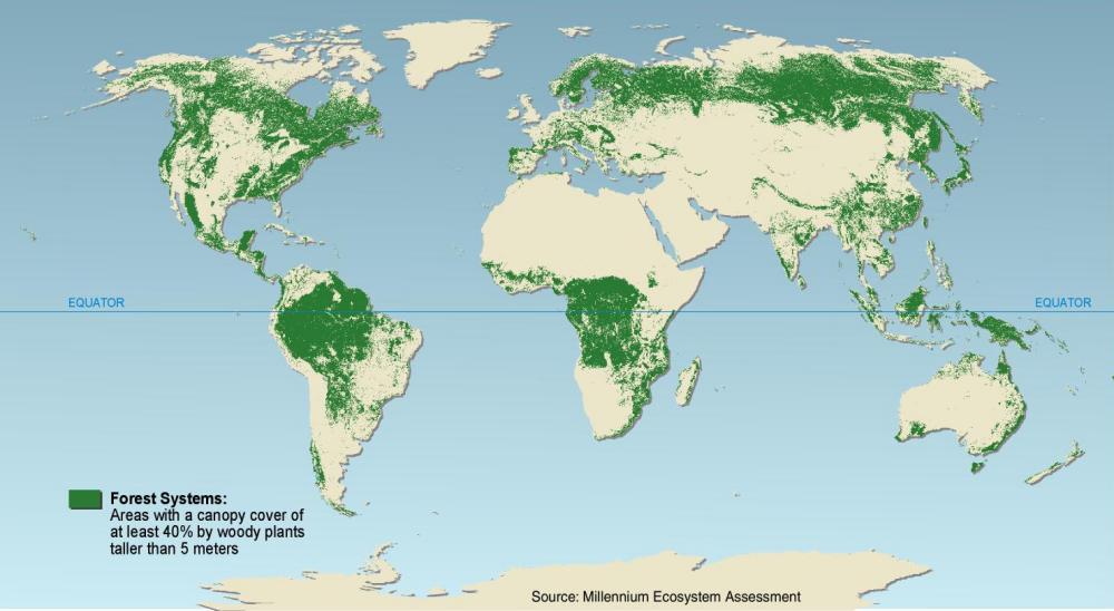 Millennium Ecosystem Assessment - 2005 : 4 of 19 :: Forest Systems ...