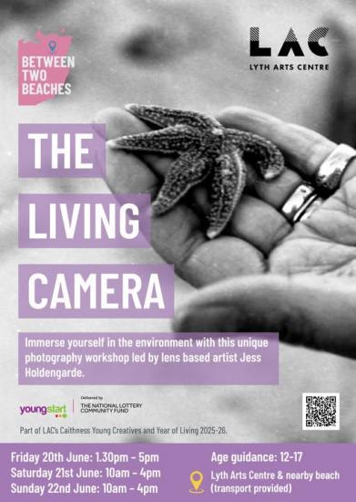 Poster for 